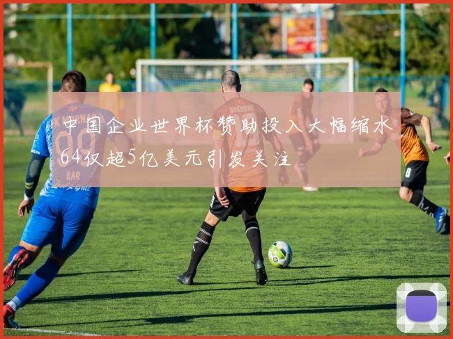 中国企业世界杯赞助投入大幅缩水64仅超5亿美元引发关注
