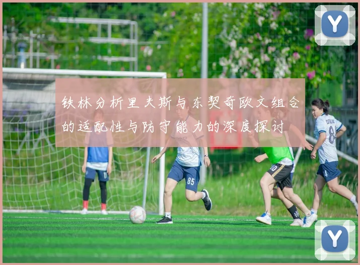 铁林分析里夫斯与东契奇欧文组合的适配性与防守能力的深度探讨